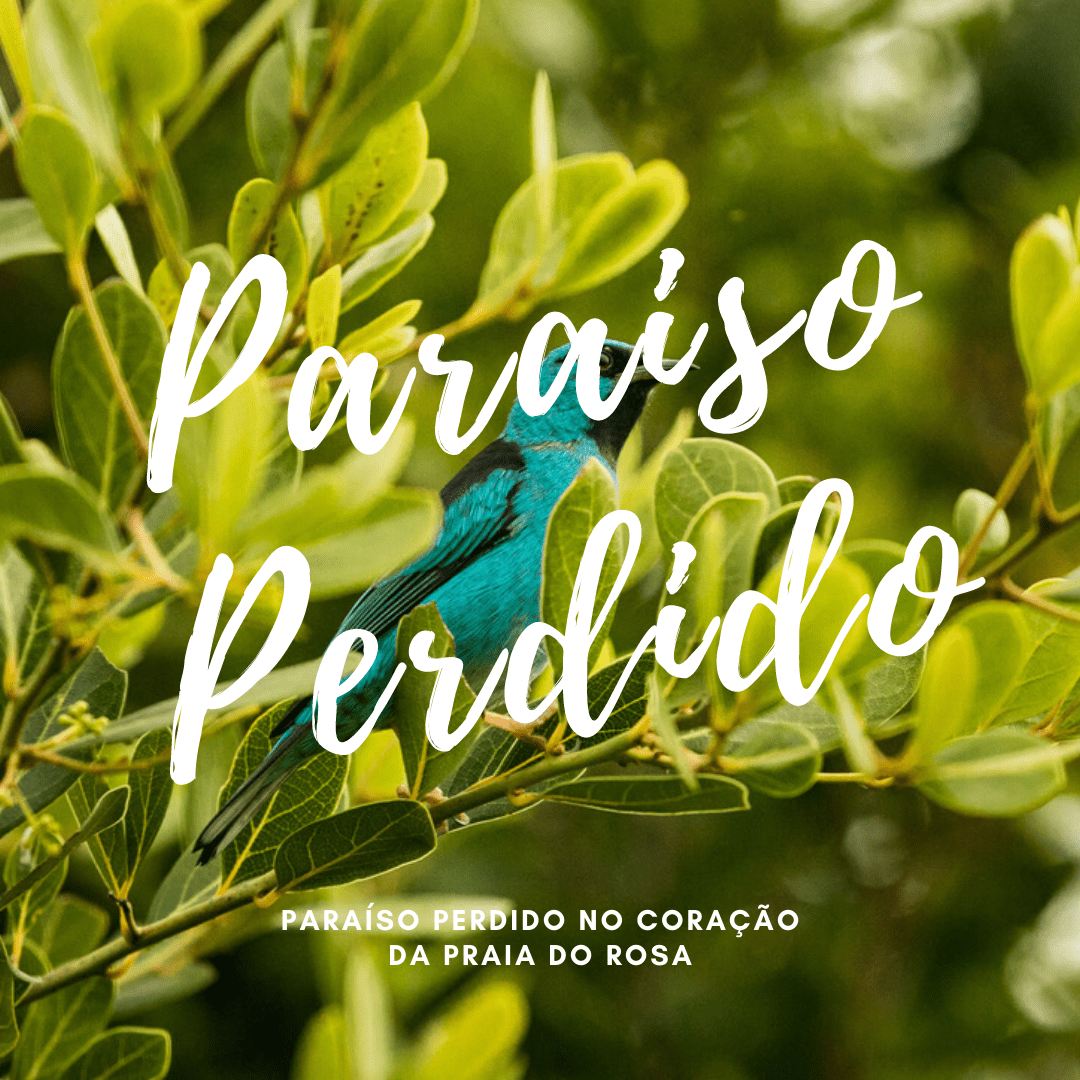Paraíso-Perdido.png