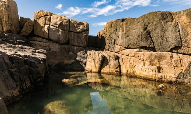 Piscinas naturais: os pequenos paraísos da Praia do Rosa