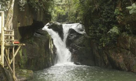 4 cachoeiras e cascatas para conhecer em Santa Catarina